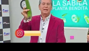 La sábila; una planta con múltiples propiedades 