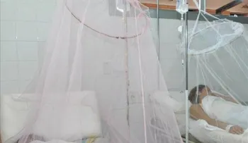 El dengue aumentó un 240% en Brasil