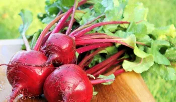 Sascha Fitness: 5 beneficios increíbles de la remolacha