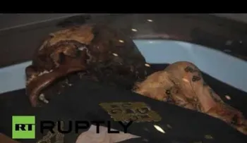 La princesa de Ukok: Presentan una momia tatuada de 2.500 años