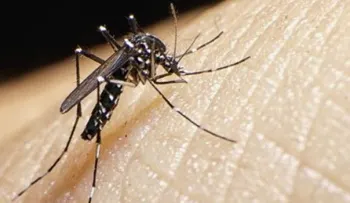 DGM pone a disposición SP sus medios para evitar entrada zika a RD