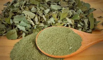 Usos y beneficios de la moringa para mejorar tu salud