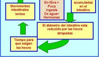 Este es la solución definitiva y natural para curar el estreñimiento como por arte de magia