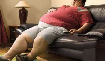 La obesidad está en el cerebro