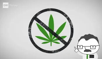 ¿Qué es peor: la marihuana o el alcohol?