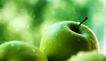 ¿Sabes cuáles son las frutas que más adelgazan?