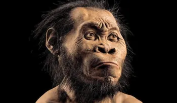 ¿Cuál es mi parentesco con el Homo naledi?