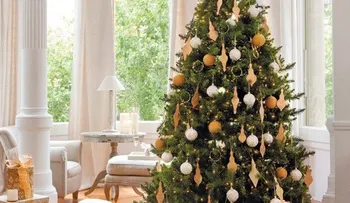 El árbol de Navidad - sus orígenes y sentido cristiano (VIDEO)