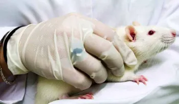 Curan diabetes en ratones con modificaciones de células madre 
