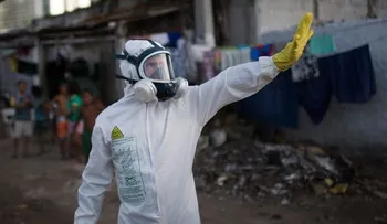 Brasil confirma 270 casos de microcefalia