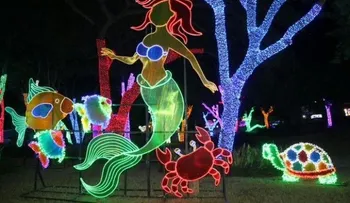 Encienden velas contra parque â??Brillante Navidadâ?