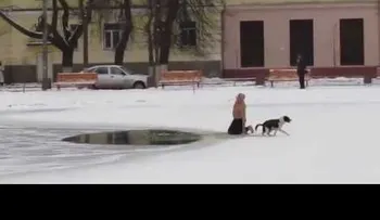 Un ruso semidesnudo salva a un perro atrapado en un río helado