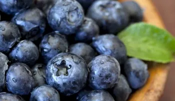 5 alimentos que ayudan a tu cerebro a eliminar el estrés