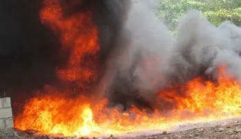 Procuraduría incinera 494 kilos de drogas