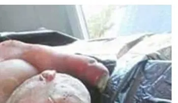 Pánico en una aldea de Sudáfrica por un "hombre-cordero" enviado "por el diablo"