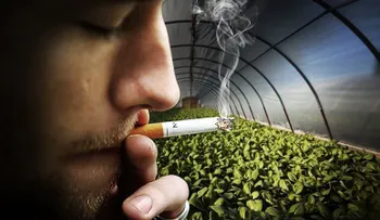 Los daños del tabaco son más grandes de lo que pensaba; las toxinas llegan hasta lugares donde no se puede fumar 