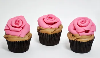 Rosas para el alma: Resultado perfecto