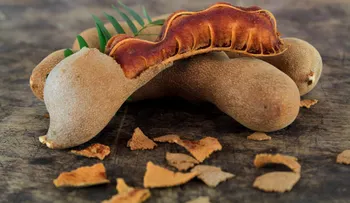 Tamarindo: El gran aliado para personas con estreñimiento