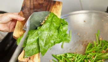 10 beneficios de la espinaca que no te puedes perder