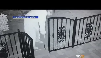 Mujer agarra por error una serpiente de cascabel