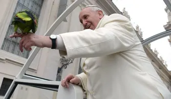 El Papa hace la paz con las aves y bendice un loro