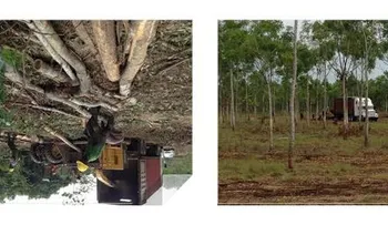 Plantas a carbón podrían operar con biomasa