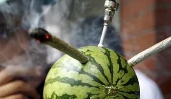 Hallazgo inesperado: Las verdaderas consecuencias del consumo de cannabis