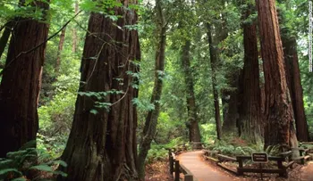 Los parques naturales nacionales más populares de Estados Unidos