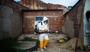 ¿Qué hace el gobierno de México para combatir el zika?