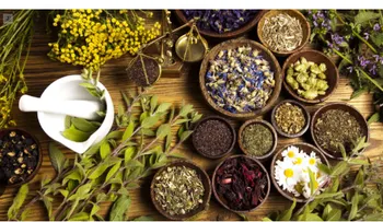 Remedio natural deja médicos boquiabiertos: reconstruye rodillas y articulacion