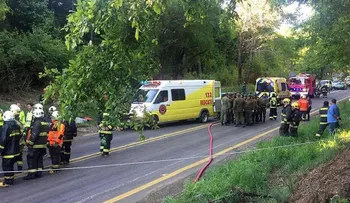 Hallan cinco cuerpos descuartizados en el este de México