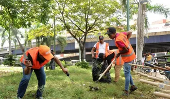 Eliminan miles de criaderos; población receptiva a Jornada Nacional