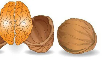 5 terapias que ayudan a la salud del cerebro