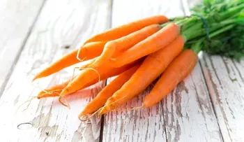 Conoce los beneficios de la zanahoria para tu salud