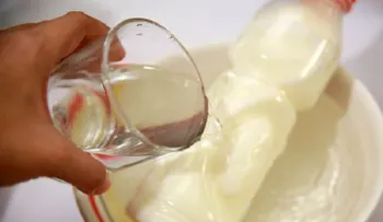 Actualizando la nevera: ¿Qué alimentos se pueden congelar y por cuánto tiempo?