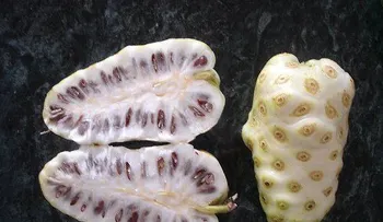 Los interesantes beneficios de la fruta del noni