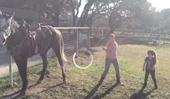 Un caballo imita a dos niñas bailando y enciende las redes
