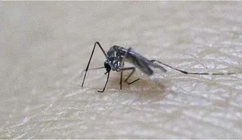 Suman más de 2 mil 900 los casos de Zika en el país