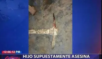 Hijo mata a su padre alegadamente con un pico