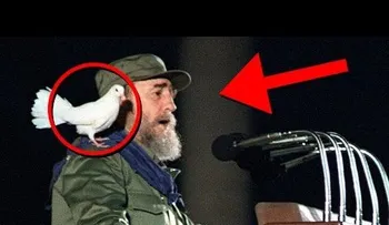 Fidel Castro y cinco curiosidades de su vida