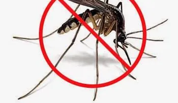 Salud Pública recomienda acudir al médico y no automedicarse en casos de chikungunya o dengue 