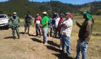 Apresan 12 personas por cortar árboles en Valle Nuevo