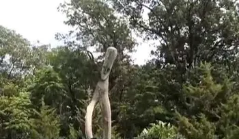 Seres extraños 