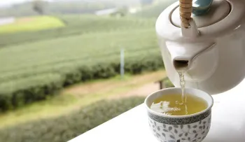 El té blanco para la salud: Posee propiedades antioxidantes