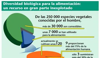 Haga un esfuerzo para comer bien y nutrirse, no recurra a la pobreza alimenticia 
