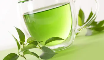El té verde es una de las bebidas que más beneficios aporta al ser humano