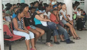 OPS confirma persiste dolor por efectos de chikungunya en la República Dominicana