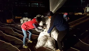 Un desertor envía globos con información sobre el asesinato de Kim Jong-nam hacia Corea del Norte