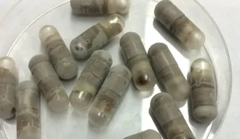 Médicos de EEUU tratarán infecciones con cápsulas fecales