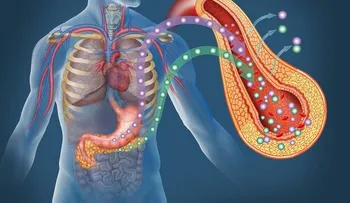 Plantas medicinales para desintoxicar el páncreas